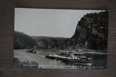Tani Rotterdam Motorsleepboot Trekvogel met 4 tankschepen passeert de Loreley bij St .Goar