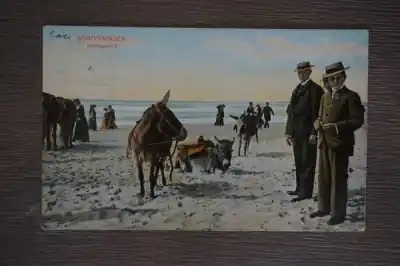 Kup teraz Scheveningen Strandgezicht