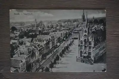 Gouda Vogelvlucht Kup teraz