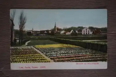 Szybka dostawa Hillegom gezicht op