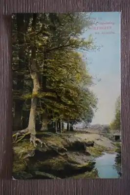 Bezpieczna płatność Wolfheze Brug bij uitspanning