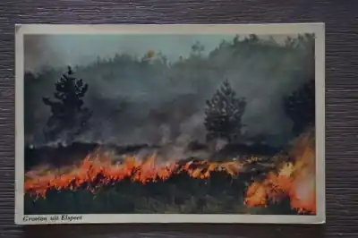 Ostatnia szansa Elspeet Groeten uit