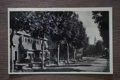 Ermelo Azalealaan Premium