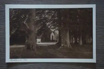 Kup teraz Drie Boschhuis