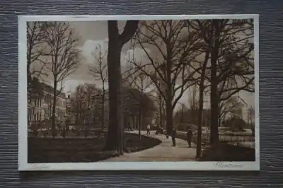 Nowość Leiden Plantsoen