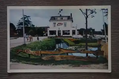 Popularny Alphen aan de Rijn Vogelpark Avifauna