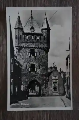 Hattem Dijkpoort Tani