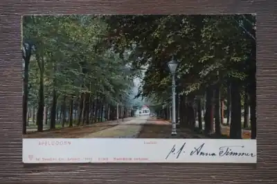 Autentyczny Apeldoorn Loolaan