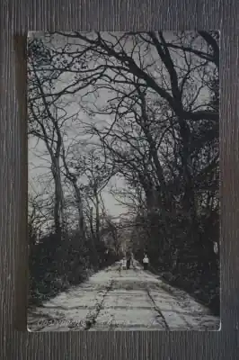 Oostvoorne 't Zwarte laantje Najlepsza cena