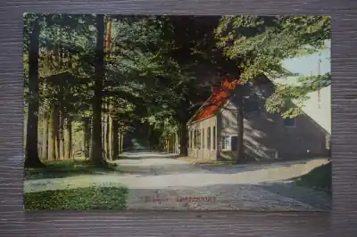 Tylko dziś Apeldoorn Echoput