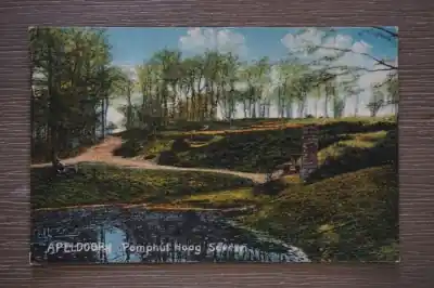 Apeldoorn Pomphut Hoog soeren Promocja