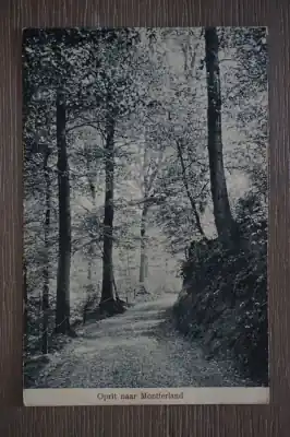 Oryginalny Montferland oprit naar