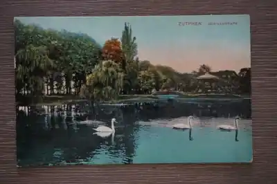 Zutphen Coenenspark Rabat