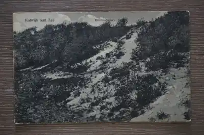 Katwijk aan zee Duinlandschap Najlepsza cena