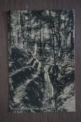 Roosendaal Zwitersche vallei Najlepsza cena