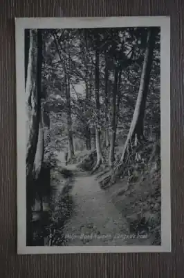 Velp Beekhuizen langs de beek Premium