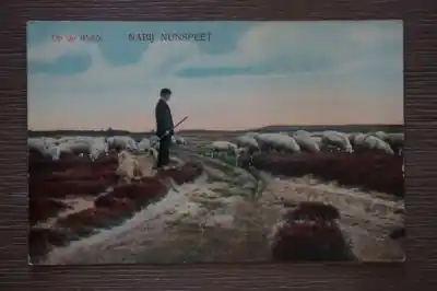 Nunspeet Op de Weide Tylko dziś