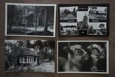 Autentyczny Ruinen 10 stuks