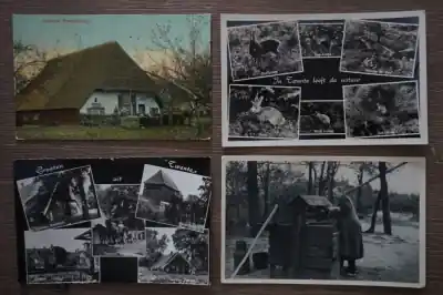 Twente 5 stuks Darmowa dostawa