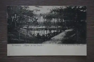 Szybka dostawa Nunspeet Vijver in het bosch