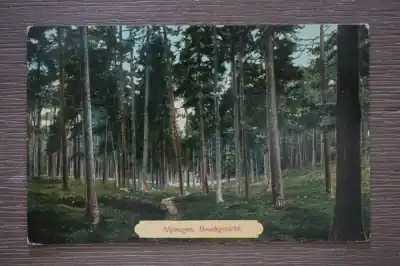 Oryginalny Nijmegen Boschgezicht