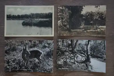 Norg 8 stuks Wyprzedaż