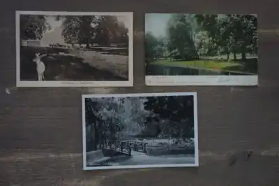 Ekspresowa dostawa Velserbeek 5 stuks