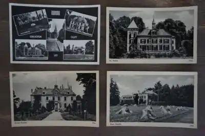 Niska cena Olst 8 stuks