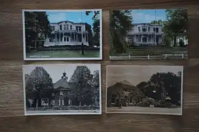 Dedemsvaart 8 stuks Zamów teraz