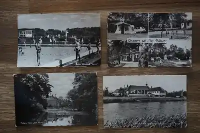 Kup teraz Dalfsen 12 stuks