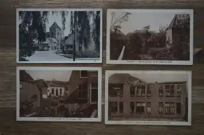 Borculo 11 stuks Najlepsza cena