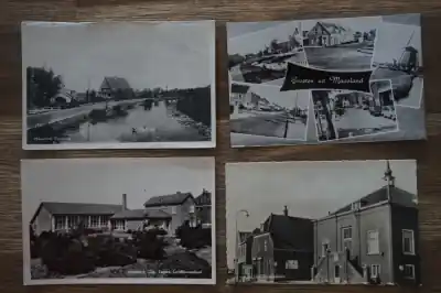 Zamów teraz Maasland 8 stuks