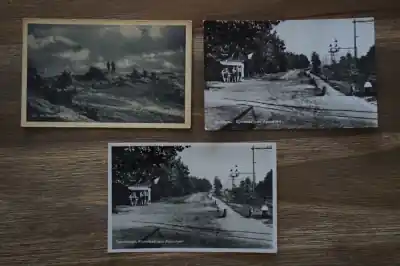 Soesterduinen 5 stuks Oryginalny