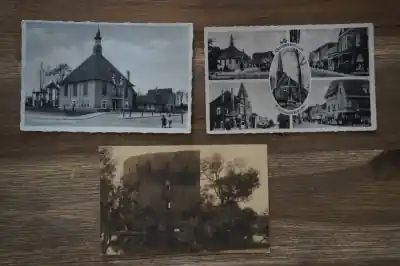 Sassenheim 7 stuks Ostatnia szansa