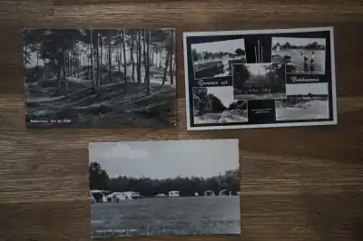 Zamów teraz Bakkeveen 5 stuks