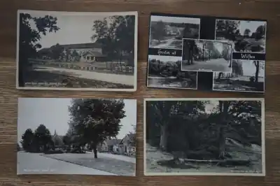 Wolfheze 6 stuks Oryginalny