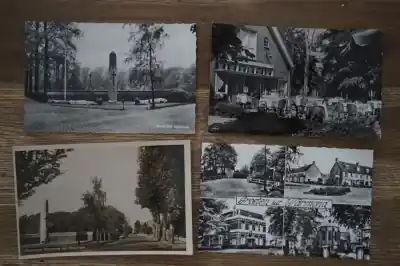 Warmond 11 stuks Tani