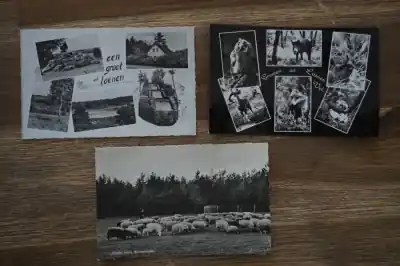 Najlepsza cena Loenen 6 stuks