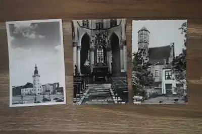 Hulst 5 stuks Popularny