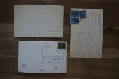 Ginneken 6 stuks Wyprzedaż