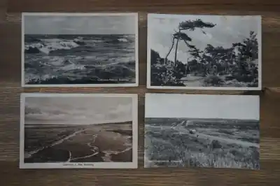 Wysoka jakość Castricum 10 stuks