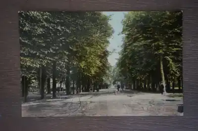 Najlepsza cena Apeldoorn Coelaan