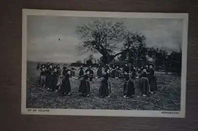De Veluwe Ronde dans Tani
