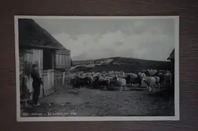 Tani De Veluwe Zij kennen hun stal