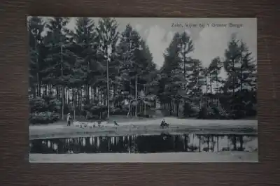 Zeist Vijver bij 't Groene bergje Oferta limitowana