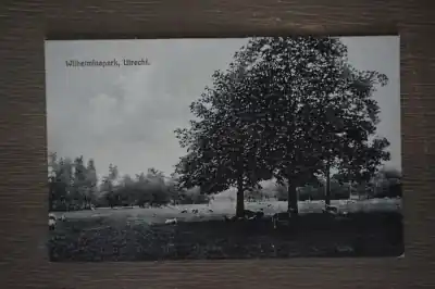 Tani Utrecht Wilhelminapark