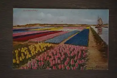 Hyachintenvelden Kup teraz