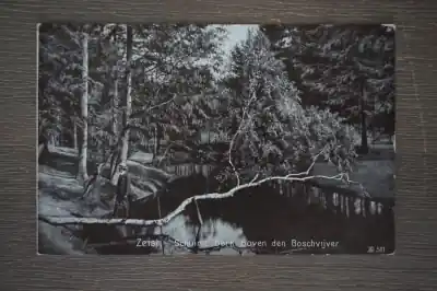 Zeist Schuine berk boven den boschvijver Szybka dostawa