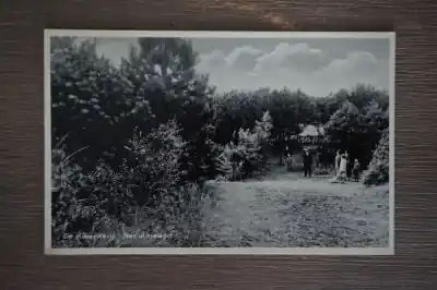 Ameland De Kweekerij Nowość