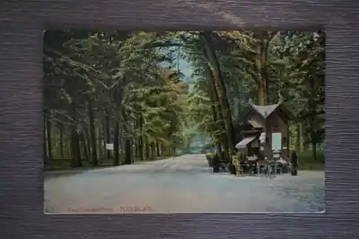 Ostatnia szansa Haarlem Haarlemmerhout